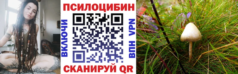 сколько стоит Старая Русса MEGA зеркало Галлюциногенные грибы Magic Shrooms